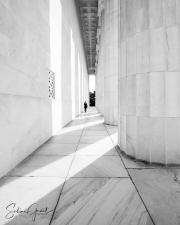 Lincoln-Memorial-columns-1-of-1